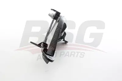 BSG 75-810-007 Tampon Sınyalı Sol 261354958R