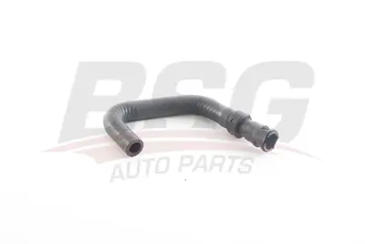 BSG 30-720-318 Kalorıfer Hortumu Gırıs 2C1118K579GA
