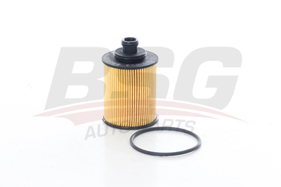 BSG 65-140-023 Yağ Filtresi 5650367 650220 93186856 95517669