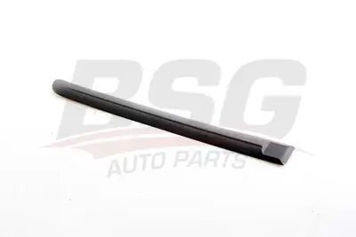 BSG 40-925-003 Kapı Dırek Çıtası Arka Sağ 877321C500