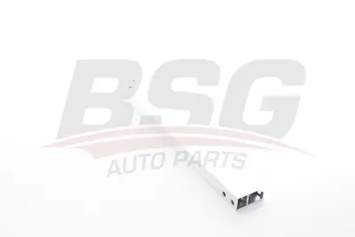 BSG 60-922-021 Tampon Tutucusu Sağ A2466280229