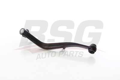 BSG 60-315-077 Salıncak Arka Sağ A1633500653