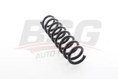 BSG 15-305-004 Helezon Yayı Arka 33536851725