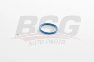 BSG 30-116-193 Orıng GK2Q8527DA
