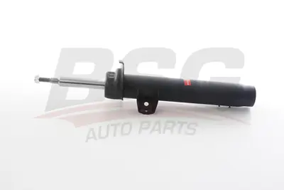 BSG 15-300-065 Amortısör Ön Sağ 31316789574