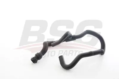 BSG 75-720-290 Kalorıfer Hortumu 8200331313