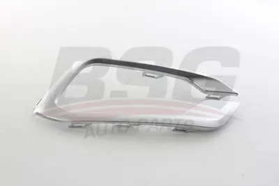 BSG 25-921-008 Sıs Far Çerçevesı Sağ 735754052