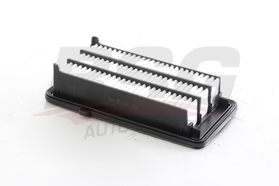BSG 35-135-010 Hava Filitresi 172205AAA00