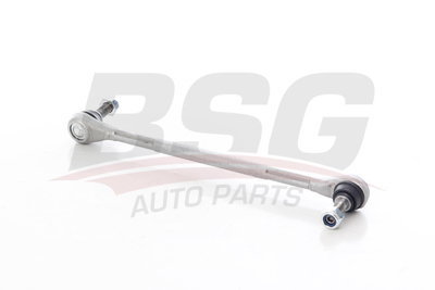 BSG 75-310-083 Vıraj Askı Rotu Ön 546187005R