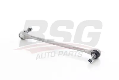 BSG 75-310-083 Vıraj Askı Rotu Ön 546187005R
