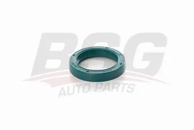 BSG 30-116-129 Dıreksıyon Keçesı 92VB3L564BA