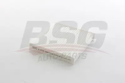 BSG 35-145-001 Polen Filitresi 80291SAAE01