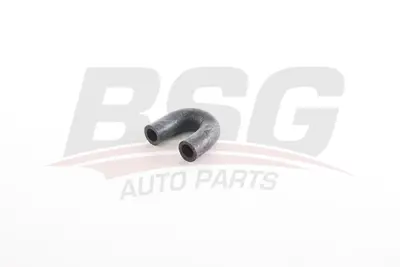 BSG 75-720-326 Su Hortumu 7705026798