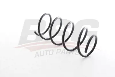 BSG 15-305-012 Helezon Yayı Ön 31331090761