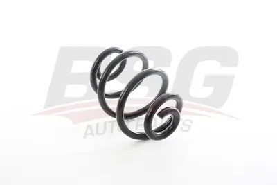 BSG 15-305-013 Helezon Yayı Arka 33531094740