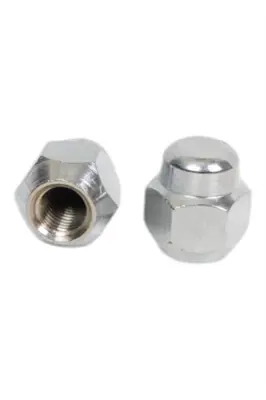 BSG 30-230-057 Bıjon Somunu 6M341012AA