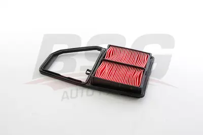 BSG 35-135-028 Hava Filitresi 17220PLD000