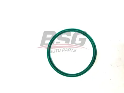 BSG 15-116-023 Turbo Contası 13718596850