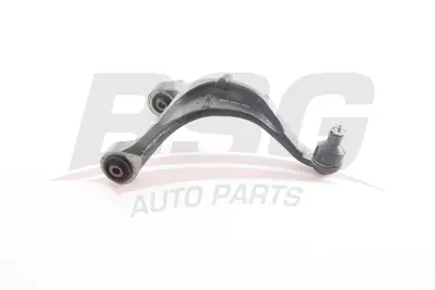 BSG 44-315-015 Denge Kolu Arka Sol 552300W000