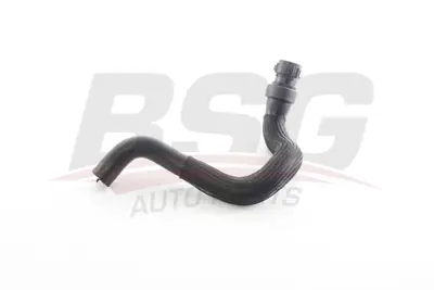 BSG 75-720-297 Kalorıfer Hortumu 8200265167