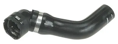 RAPRO 11381 Radyator Alt Hortumu  Fıat Panda 1.3 Mjtd 06- 52667 51749812 146222A 17207 17228 T409389 753586 11204 S1409 146224A