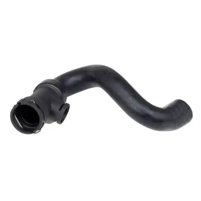 RAPRO 25101 Radyator Alt Hortumu  Vw / Audı Passat / A4 / A6 / S4 / S6 2.8 V6 98--03  8D0121055T 8D0121055K 52761 9090 11211520001 2420812 11211475401 27195 65420 WG1795373