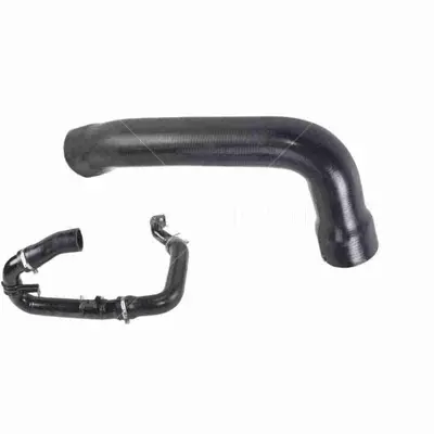 RAPRO 11555 Hortum Turbo  Fıat Lınea 1.6 Jtd  Buyuk 51780450 DCF113TT R11590 3336294 90479 V240697 35521 11590 13450 700274