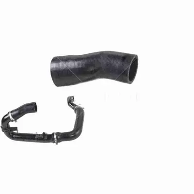 RAPRO 11590 Hortum Turbo  Fıat Lınea 1.6 Jtd  Kucuk 51780450 DCF113TT R11590 3336294 90479 V240697 35521 11590 13450 700274