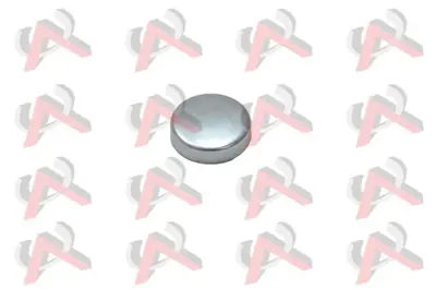 DEKAR 7030 Blok Su Tapası Ø22mm  Unıversal  7030 1511