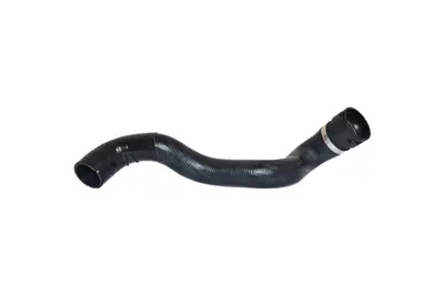 MGA 961632 Hortum Radyator Alt  Mercedes   W220 - S280 - S320 - S350  2205010382 9086 10936148 T497796 36148 97796 224403 52887 A2205010382 DWM070TT