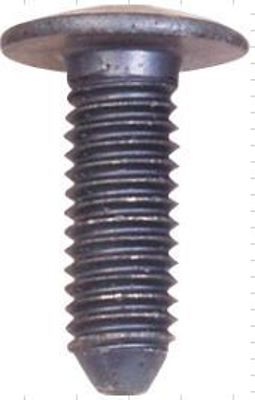 AYHAN PLASTIK A1628 Tampon Cıvatası Renault  Toros 7703024015 162619