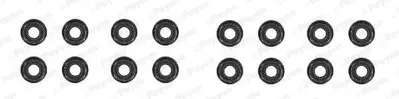 PAYEN HR791 Subap Lastıgı 6mm Fıat Egea Lınea Doblo Punto 1.3jtd Alfa Romeo Mıto 1.3 Jtd Opel Astra H Combo Corsa D 1.3 Cdtı 46556651 95664 HN3395 HN3352 WG1450803 HK0594 HK7539 HR5088 70928391 703130600
