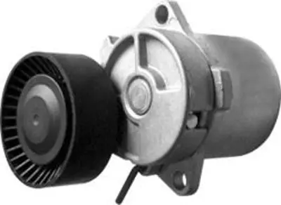 MGA 78076 V Kayıs Gergı Rulmanı Kutuklu  Bmw M-43/44 E-36/46  11281247647 533001610 20030027 PT38221 9813 APV2231 1432104 55026 23666 VKM38221