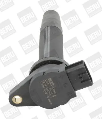 BERU ZSE021 Atesleme Bobını 22448-4M500 