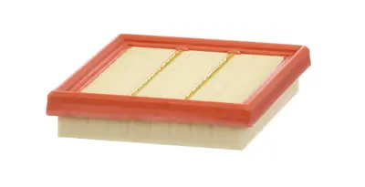 MANN FILTER C19008 Hava Fıltresı 200 Bg E-Tech Full Hyrıb Austral Rafale 1.2 H5f 165460392R
