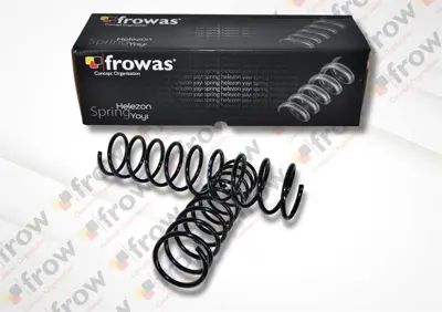 FROW 1541233002 Helezon Yayı On Fıat Dks Dogan Sahın 4476352 IF20166 CS3055 4026103