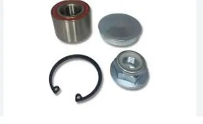 BITAPART BRE309117 Sag Arka Kapı Dıs Acma Sportu Master Iıı 806071150R 806078197R 8260700Q0E FT94593