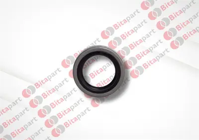 BITAPART BFI231002 Kece Arka Aks Kus Serısı M124 M131 30*45*8 40000810 21012401034 IS1425 STBO00418 A71340 AZJ3322 11132313 120547 6021243 STRF348