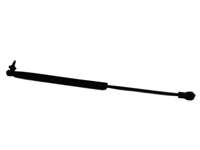 FROW 3881624007 Bagaj Amortısoru Grand Cherokee 05 -  Wk 