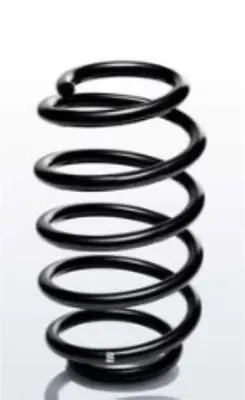 FROW 2061233001 Helezon Yayı On Renault Clıo Iı 15 Dcı 98 06 8455271 70164 7700417230 14871289 SP050 4072929 SR060MT 16146390003 27202 8455273