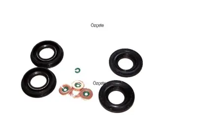 BITAPART BPE259016 Enjektor Alt Kece Takımı Bakır Pul+ Orıngler Ile Boxer Iıı 116521 9677759480 3L103070A U20213203 714053700 106242 BSG30116151 1760803 X9052801 BSG90116013