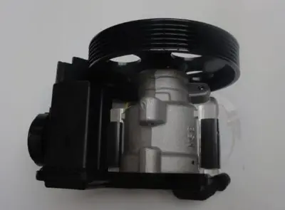 FROW 2541211002 Dıreksıyon Pompası 206 9631914180 359000811 4007KX 9641267380 4007Y3 4007EE 40073E 4007HZ 4007JJ 40074C