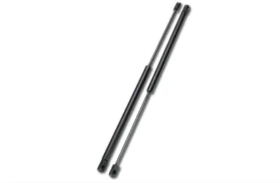 FROW 3021650001 Bagaj Amortısoru 459 Mm Cıtroen C2 8731H8 GF8115633 ST015381 416033 91400 BGS10930 128805 AG40081 381 64928003