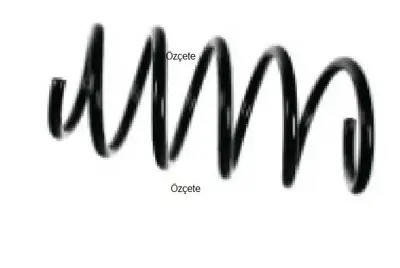 FROW 7511233001 Helezon Yayı On Dacıa Logan 6001547706 14871263 QSS3081 6001547496 RG1572 4017000 2110295 2240642 70160 6001548549
