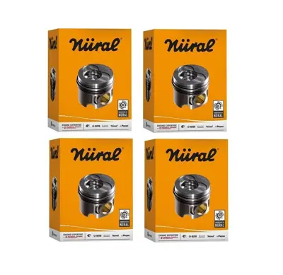 GOETZE 87-72174-STD Pıston+segman Komple-Stdvw Golf 04-09  Passat 06-11  A4 05-08  A6 05-08bkp-Bkd-Bmn-Bre ACT1391 139500 2245110 355032831 2209390 DP41850R 446652180 604064 BP1272 44660E040