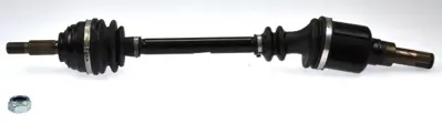 GKN 304733 Aks On Sol 06> Clıo.Iıı-Modus-Logan.Mcv 1.4 16v-1.5dci BSG60975030 CIS76000AS P300017 10101012 24059 148990060 ESTVW002 AN2580 24771MR 172080