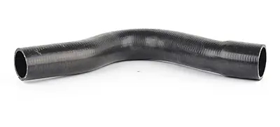 BSG 60-720-069 Radyatör Hortumu Üst A1245010582