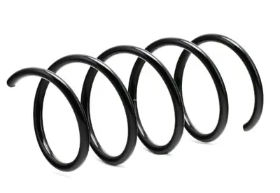 BSG 60-305-038 Helezon Yayı Ön 10937368 IF20371 1683211504 A1683211604 71820 AF2771 1342208109 997620 1342200509 SPS00653