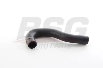 BSG 40-720-105 Radyatör Hortumu Üst 254111R400