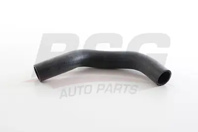 BSG 40-720-095 Radyatör Hortumu Üst 25411H8300
